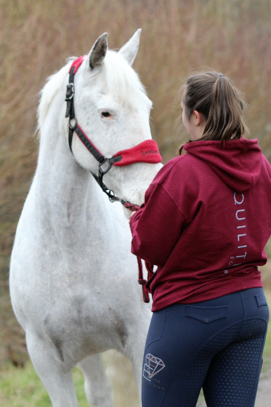 Scorpio Hoodie