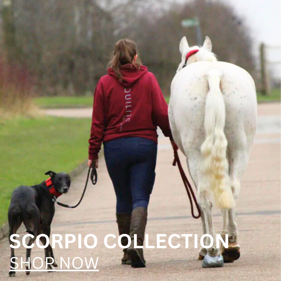 Scorpio Collection