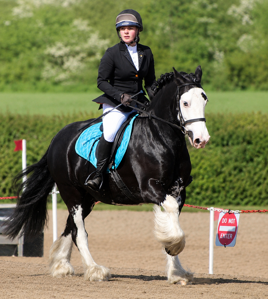 Competition White Riding Leggings